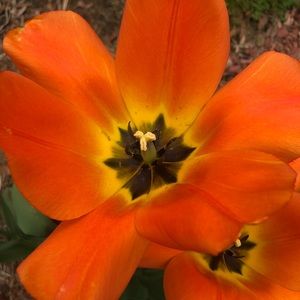 Meet your Posher, Katerina